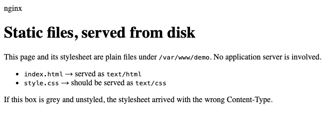 An nginx-served page rendered with no styling at all: plain black serif text on a white background, because the stylesheet arrived as text/plain