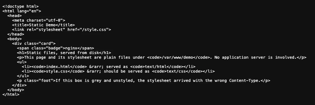 A browser displaying raw HTML source code as plain monospace text: doctype, head, link and body tags all visible instead of a rendered page