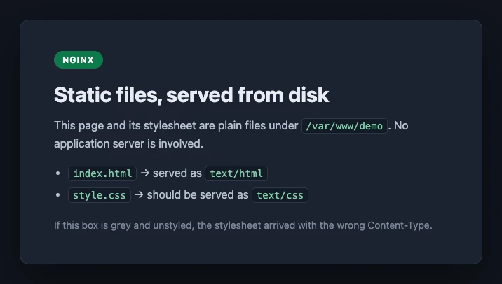 The same page correctly styled: a dark card on a dark background with a green nginx badge, white heading and monospace code chips